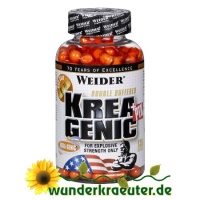Maximum Krea-Genic + PTK Weider