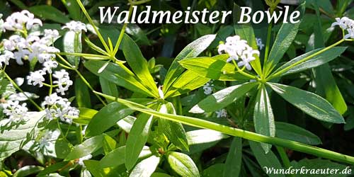 Waldmeister-Bowle