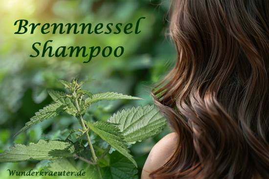 Brennnessel Shampoo