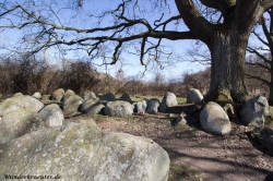 Hünengrab oder Großsteingrab bei Lütow