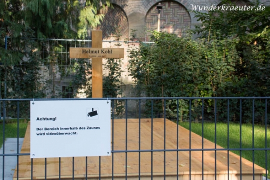 Videoüberwachung und Zaun am Grab Helmut Kohls