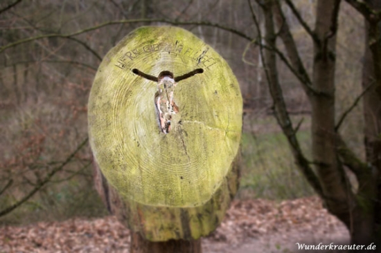 Station 6 leider fehlt die Christusfigur