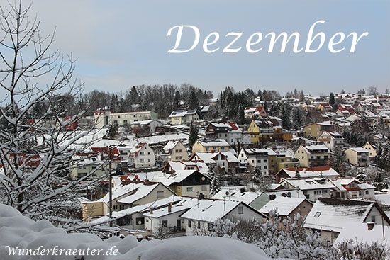 Dezember 