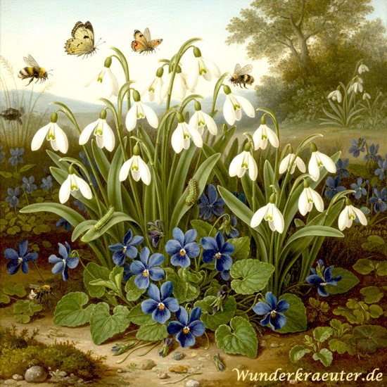 Als dann der Frühling im Garten stand