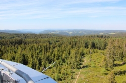 Ausblick vom Stöcklewaldturm